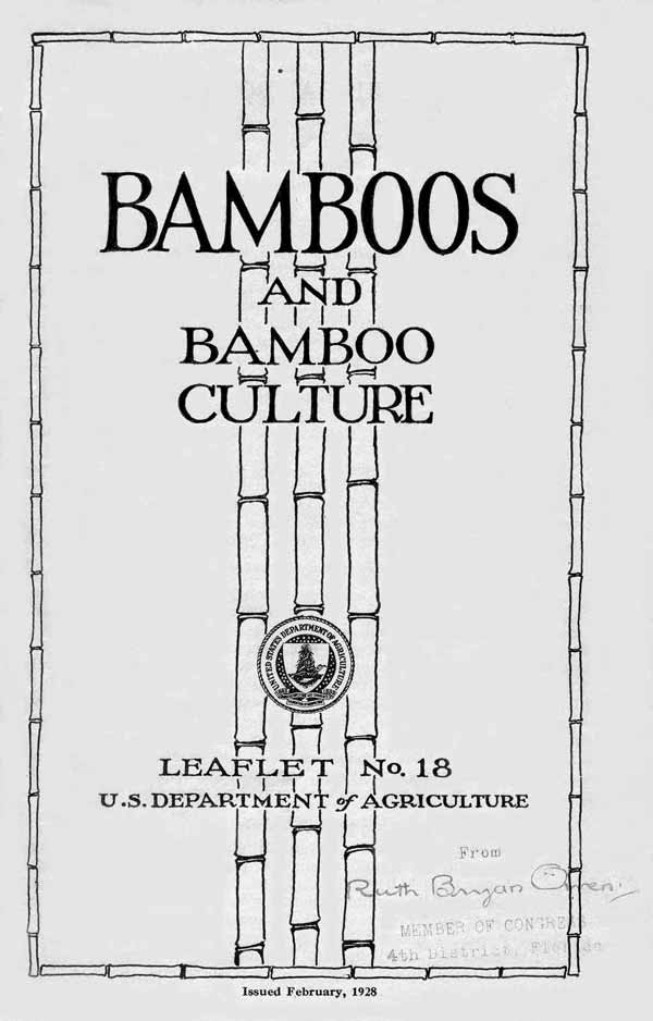 Bamboo 1928 Cover