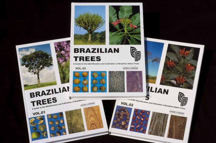 plantas ornamentais no brasil lorenzi