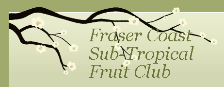 Fraser Coast Logo