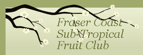 Fraser Coast LOGO