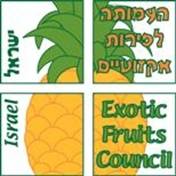 Israel Exotic Fruit LOGO