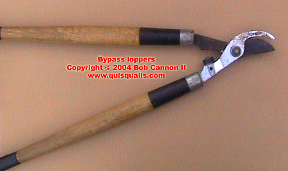 Loppers01.jpg