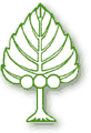 New Zealand Tree Crops Association
                Logo