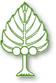 New Zealand Tree Crops Association Logo