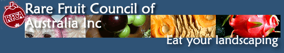 Rare Fruit Council of Australia
                Logo
