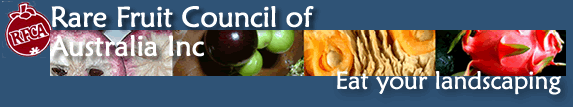 Rare Fruit Council of Australia Logo