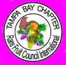 Tampa Bay Logo