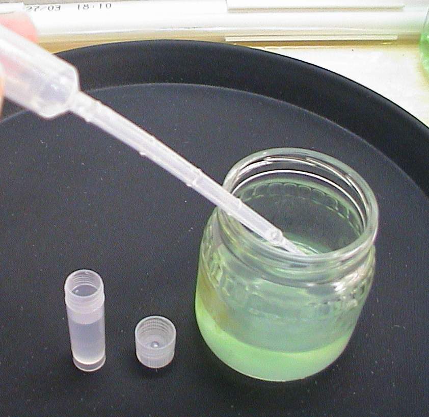 orchidPeroxide23a.JPG (77129 bytes)