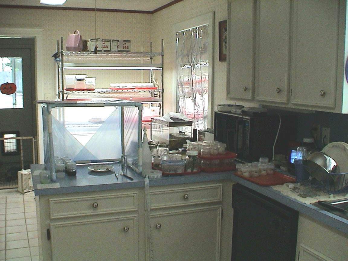 Lab Setup